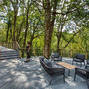 Studio Terrace